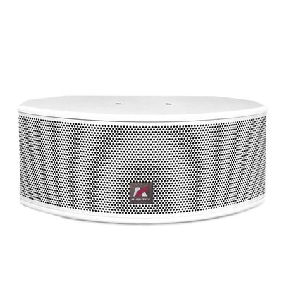 KP Series Home Cinerma Audio Środkowy głośnik do wzmocnienia dźwięku muzyki Surround and Middle Channel