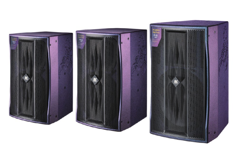 PK Series Dwu-Way Full Frequency Speaker Birch Plywood Box Body 10 12 15 cali